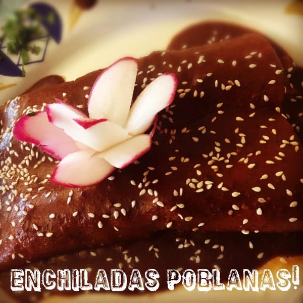Money Pancho's Enchiladas Poblanas, smothered in rich mole sauce, garnished with sesame seeds and a radish flower.